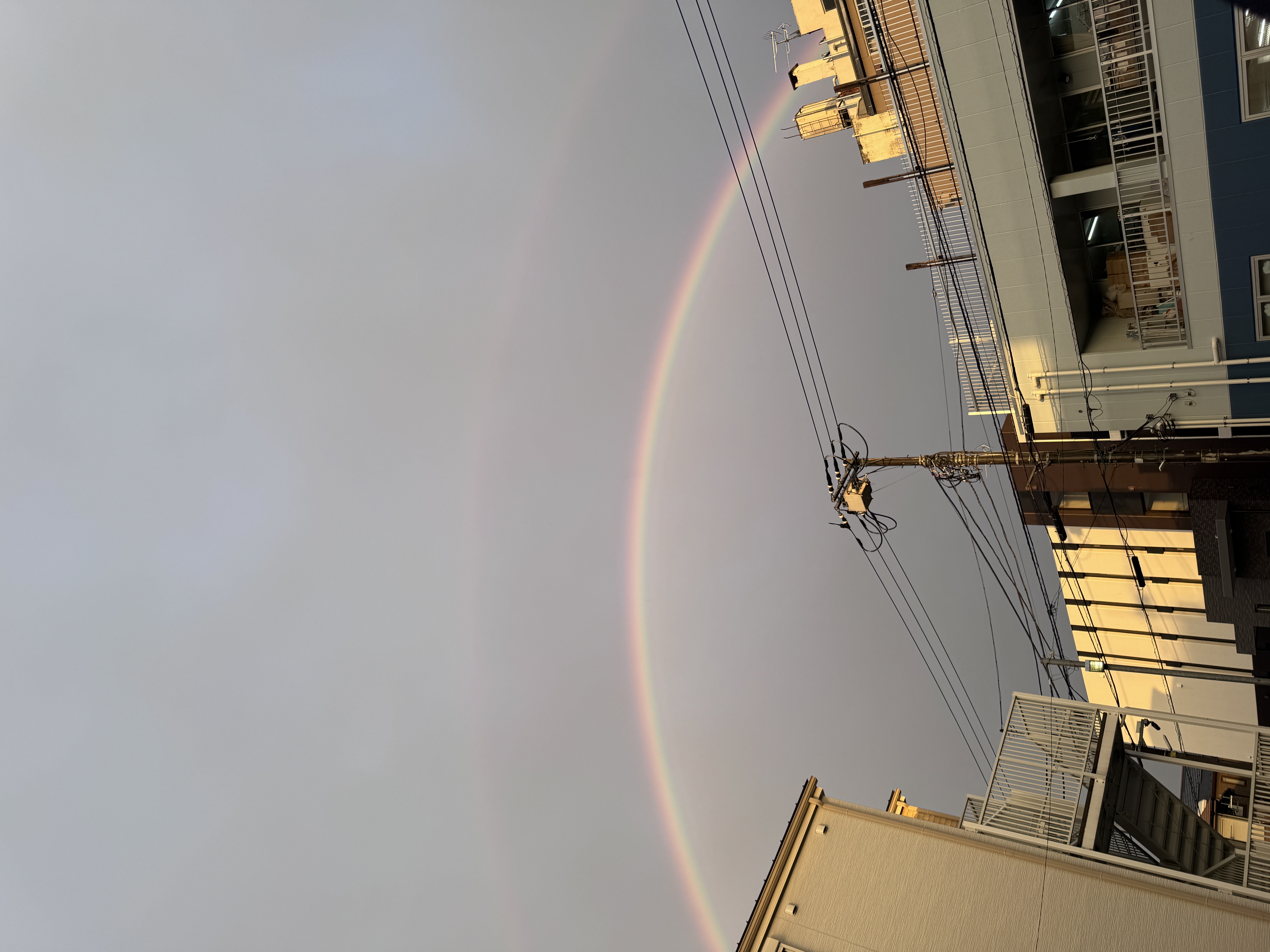 虹