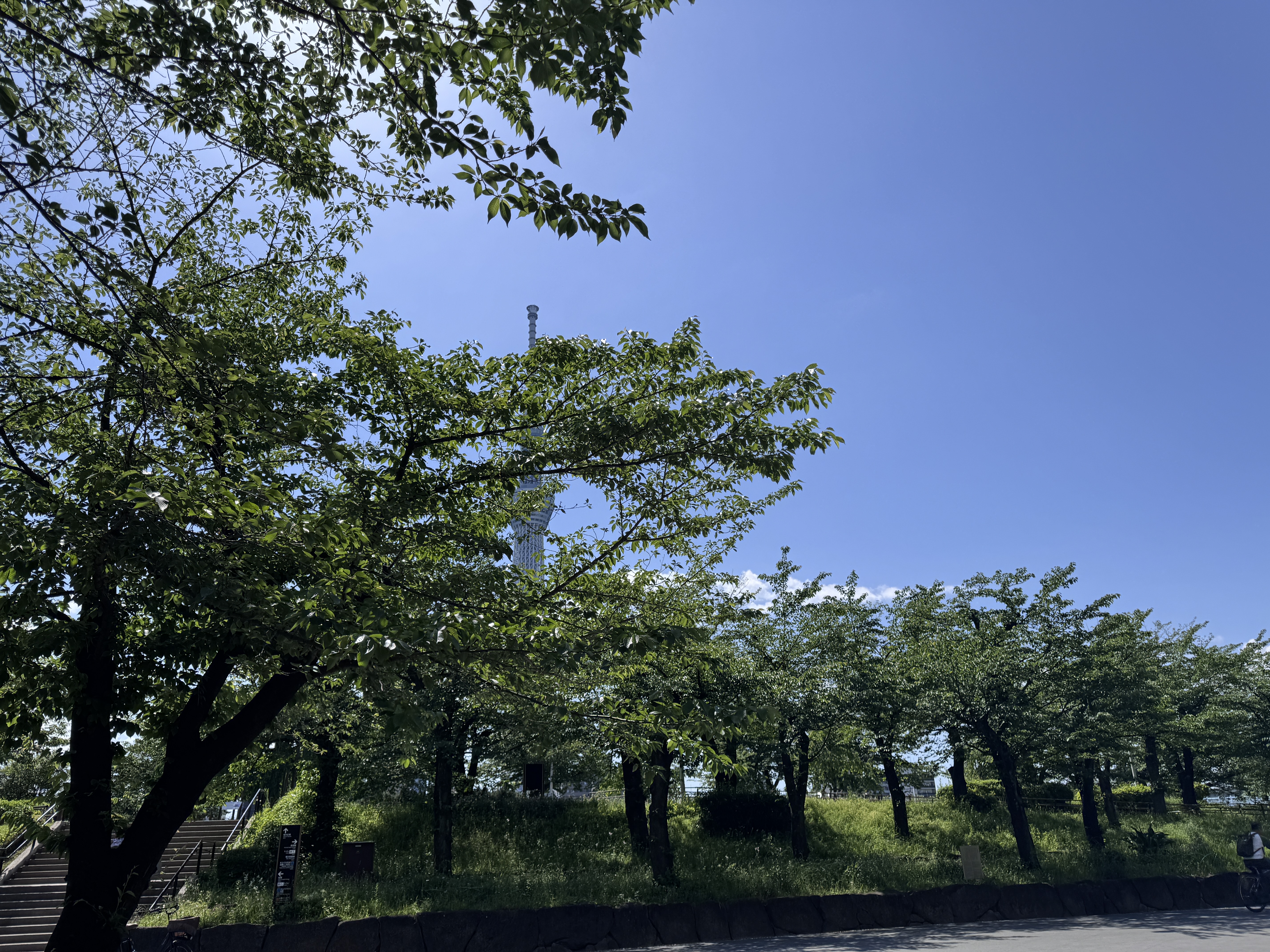 快晴