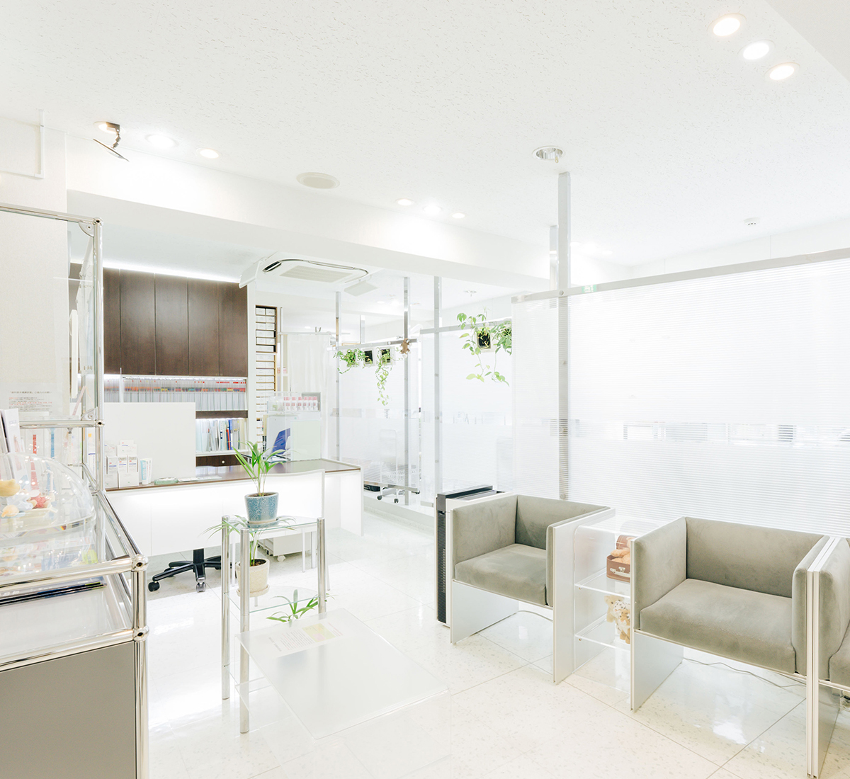 冨永矯正歯科 Tominaga Orthodontic Clinic